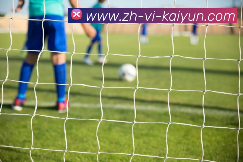 开云体育APP 高清赛事图