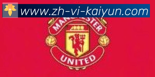 开云APP合作伙伴